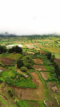 A lush green field with a few trees scattered throughout