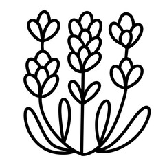 flower vector illustration