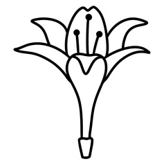 flower vector illustration