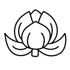 flower vector illustration