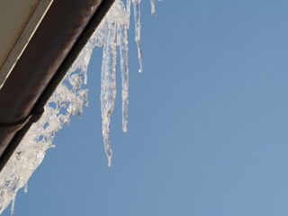 Sople zwisające nad rynną © EwaAF