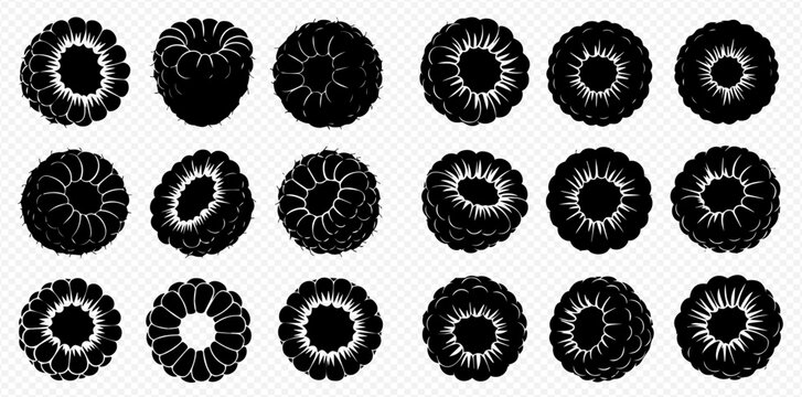 Set of black and white raspberry silhouettes, ripe berry vector icons for food and fruit designs.