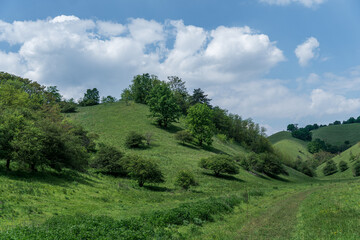 Beautiful green hills, pastures and trees of Zagajicka brda in Serbia near Vrsac. Scenic spring and summer nature landscape.