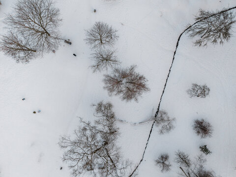 Aerial view of snow-laden trees and winding paths create a stark, contrasting winter landscape, their dark silhouettes etched against the pristine white canvas, Vilnius, Lithuania.