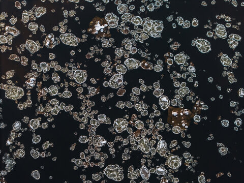 Aerial view of a multitude of tiny, reflective particles scattered across a dark, glossy surface, resembling a distant galaxy, Vilnius, Lithuania.