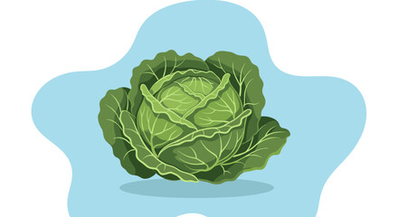 Head of fresh green cabbage with detailed textured leaves isolated on a light blue organic shape background.