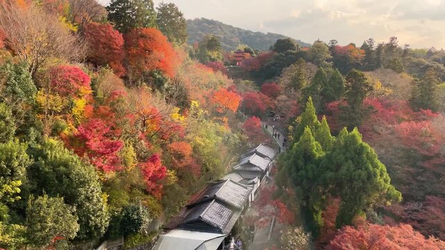 紅葉、真っ赤に色づく山寺のある京都東山