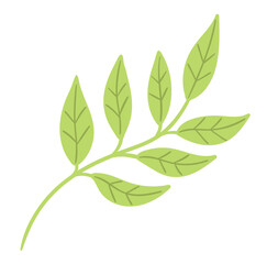Vector illustration of a green leafy branch with simple flat design. Isolated botanical object.