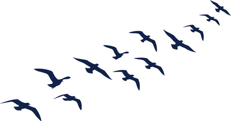 Fototapeta premium birds, flock, flight, silhouette, freedom, migration, nature, wildlife, sky, motion, vector, design, minimal, abstract, shape, graphic, isolated, wing, formation, illustration