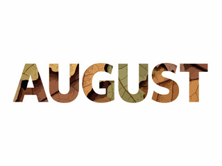 August A Month of Transitions and Nature's Beauty Displayed Through Autumn Leaves