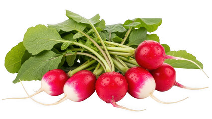 Fresh radish bunch isolated on transparent background