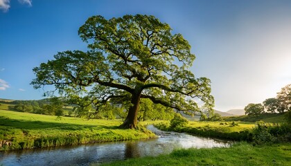majestic oak tree stands tall amidst a serene meadow its gnarled branches stretching towards the sky surrounded by a winding brook and lush greenery