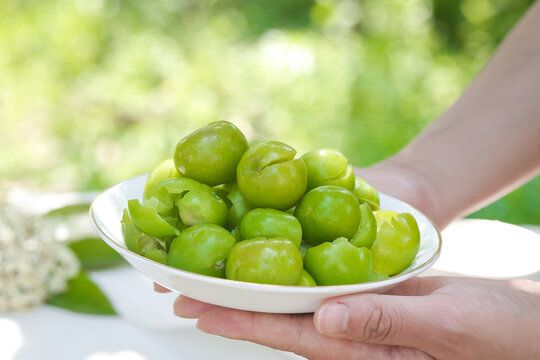 Fresh Green Plums Guangxi Qianpai - Crisp Sour Preserved Fruit