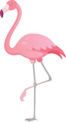 Fototapeta premium A vibrant pink flamingo stands gracefully with its long neck and legs