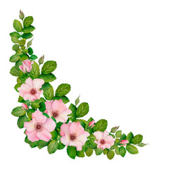 Watercolor Pink Rose Corner Border