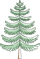 Obraz premium A simple hand drawn illustration of a classic evergreen coniferous tree high quality