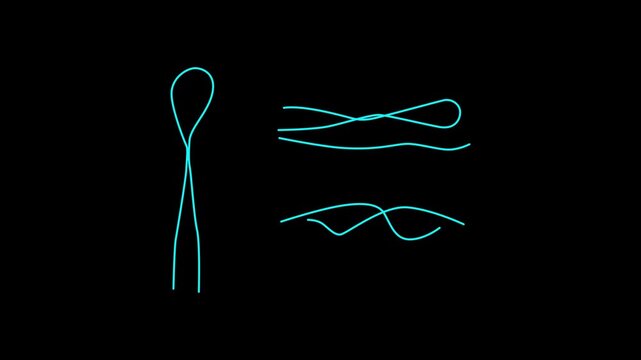 Red string with tied bow and loops isolated on transparent background. Motion graphics of smoothly cross line