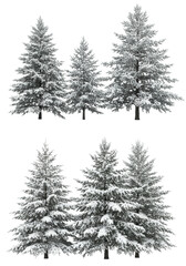 Fototapeta premium six photorealistic evergreen trees (pine, spruce, fir) heavily covered in fresh snow, isolated on a transparent studio background with high-key lighting. concept of winter minimalism and purity