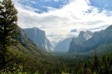 Obraz premium yosemite valley in summer