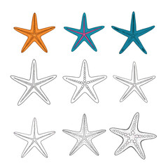 Group of starfish illustrations in various colors and styles including detailed line art and decorative patterns for marine themes.