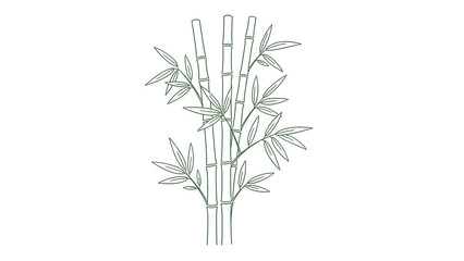 Simple Green Bamboo Illustration