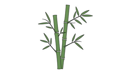 Simple Green Bamboo Illustration