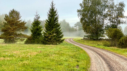 Gravel road through Swedish countryside on an early autumn morning