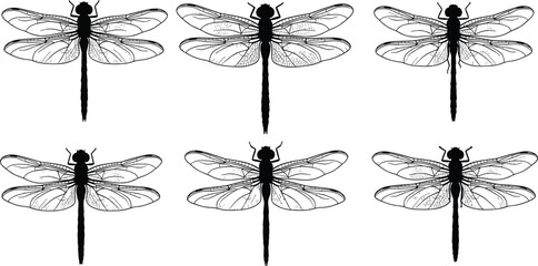 Set of black dragonfly silhouettes with detailed wing patterns, collection of flying insect icons, vector illustration isolated on white background, summer nature element, © MstSahanaj