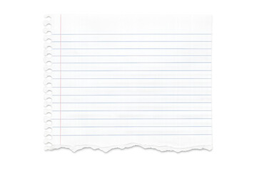 Blank white paper sheet with blue lines, a red vertical line, and a rough, torn bottom edge, ready for text or design