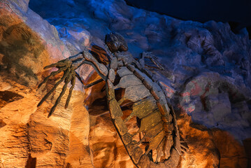 An indoor exhibit in Gran Canaria shows a giant fossil arthropod in a rock wall, with stratified stone, segmented tail and claws, and dramatic amber and blue lights. © Aerial Film Studio