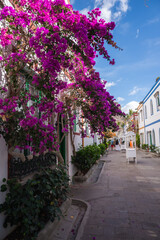 Whitewashed buildings with blue and green trim line a lane in Puerto de Mogan, Gran Canaria, as magenta bougainvillea forms a canopy and visitors stroll in soft afternoon light. © Aerial Film Studio