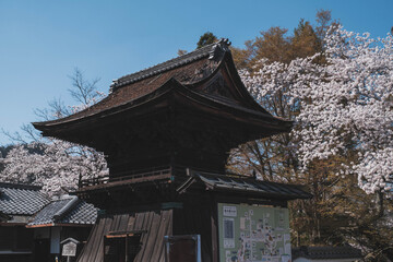 三井寺、日本の歴史的なお寺に咲く桜、滋賀、日本