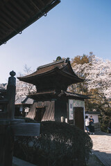 三井寺、日本の歴史的なお寺に咲く桜、滋賀、日本