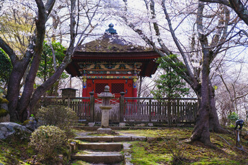 三井寺、日本の歴史的なお寺に咲く桜、滋賀、日本