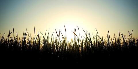 Continuous, unbroken grassy silhouette against a bright sky,  rural,  simple