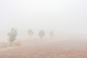 thick fog on the field