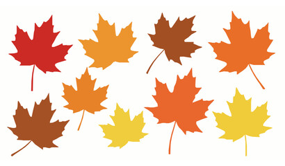 Fototapeta premium Fallen Canadian maple leaves vector collection in autumn colors