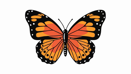 Winged insect with orange, black, and white markings