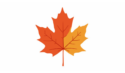 Fototapeta premium Realistic autumn maple leaf vector isolated on white background
