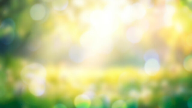spring meadow with flowers blossom and sunshine. Blurred background with copy space