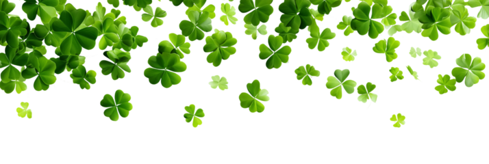 Falling shamrocks, flying green clovers leaves isolated on white or transparent panoramic background. St Patrick's day celebration web banner