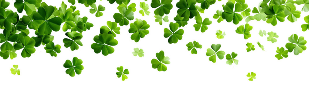 Falling shamrocks, flying green clovers leaves isolated on white or transparent panoramic background. St Patrick's day celebration web banner