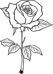 black and white line art drawing of a rose bouquet simple