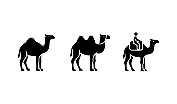 Minimal Camel Silhouette Icon Set Including Dromedary and Bactrian Camels