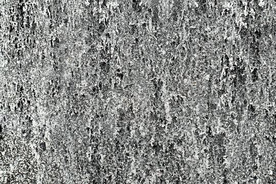 Salt efflorescence texture closeup. Natural crystallized salt patterns on surface. Abstract mineral structures and organic shapes. Dried salt stains background. Geological formation detail.