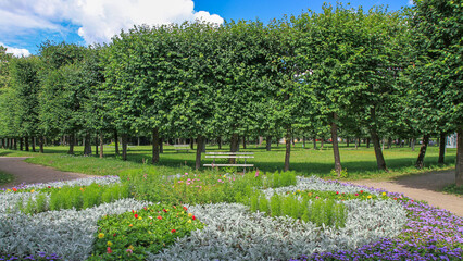 Sunny urban park with manicured tree row, walking path, benches and colorful flowerbed under blue sky. Summer landscape, recreation and eco city concept.