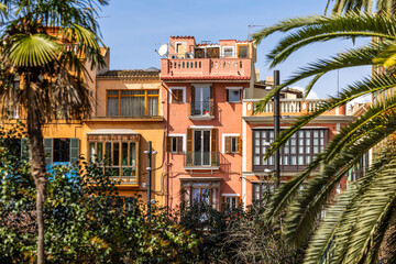 Fototapeta premium Colorful facades of traditional mediterranean townhouses surrounded by palm trees in the historic center of Palma, Mallorca, Balearic Islands, Spain