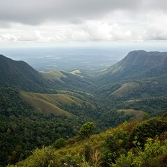 Fototapeta premium Stunning panoramic view from the summit, showing lush tropical valleys and rolling hills under a misty sky, elevation, peak, remote