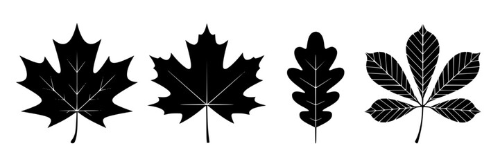 Naklejka premium autumn leaves, including maple, oak, and horse chestnut, isolated on a white background for design elements.