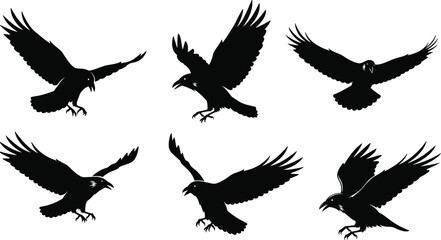 Obraz premium Flying crow bird silhouettes vector set, black raven wings spread poses, wildlife animal illustration for logo, tattoo, and graphic design